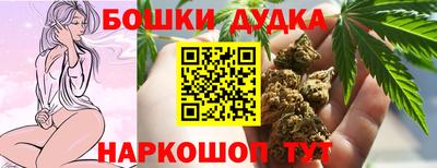 прущие крисы Будённовск