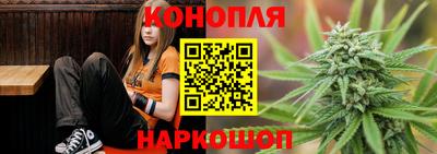 прущие крисы Будённовск