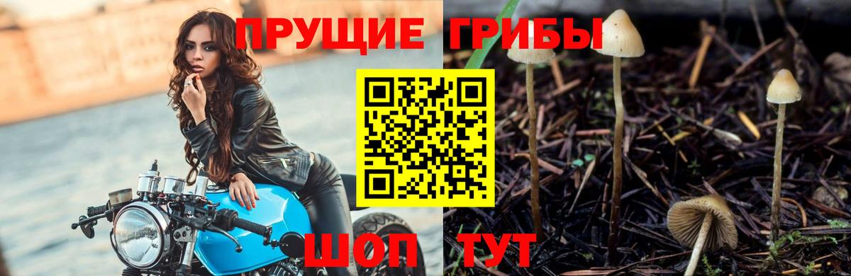 магазин продажи   Вход с VPN  Барабинск  Галлюциногенные грибы ЛСД 